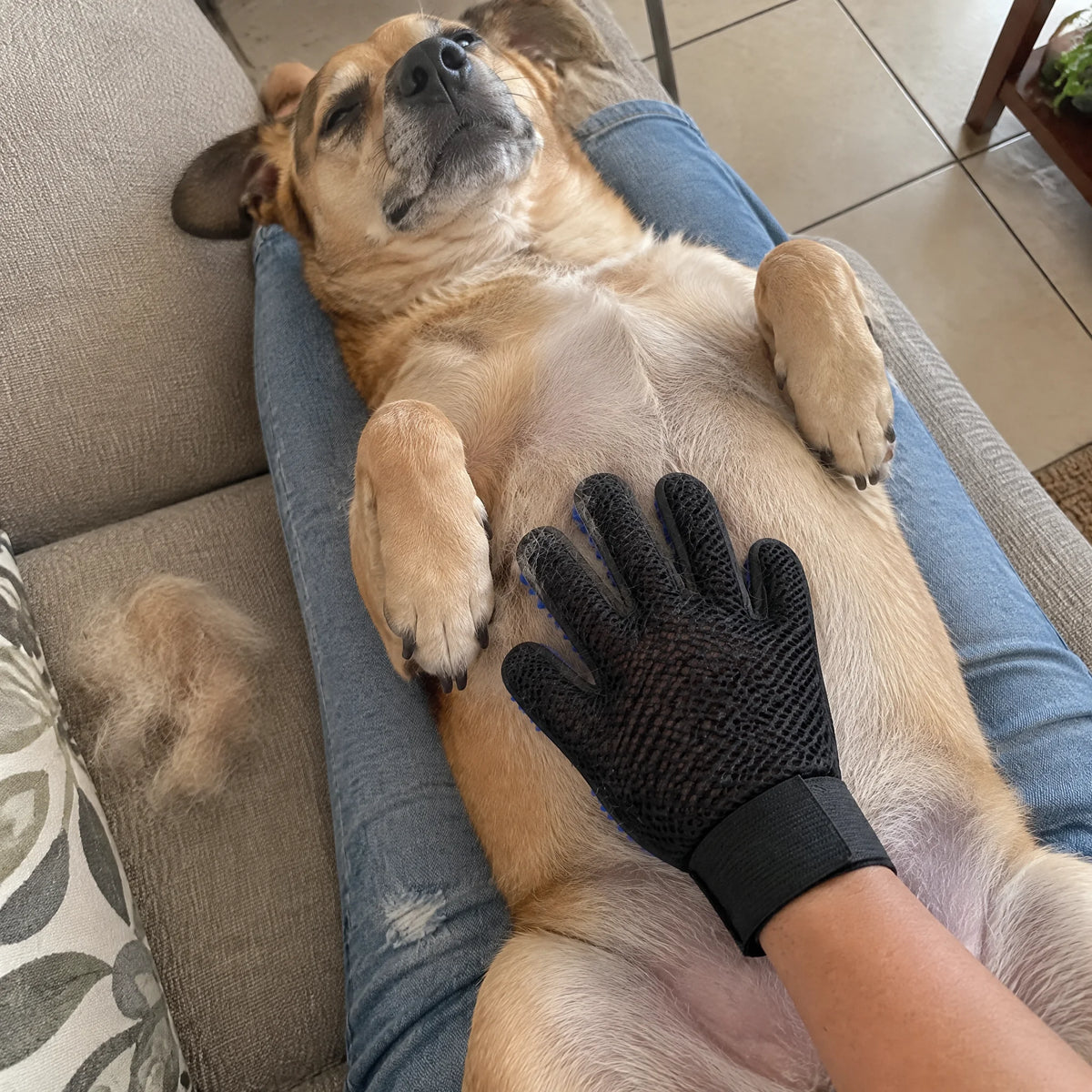 guante-mascotas-true-touch review_1