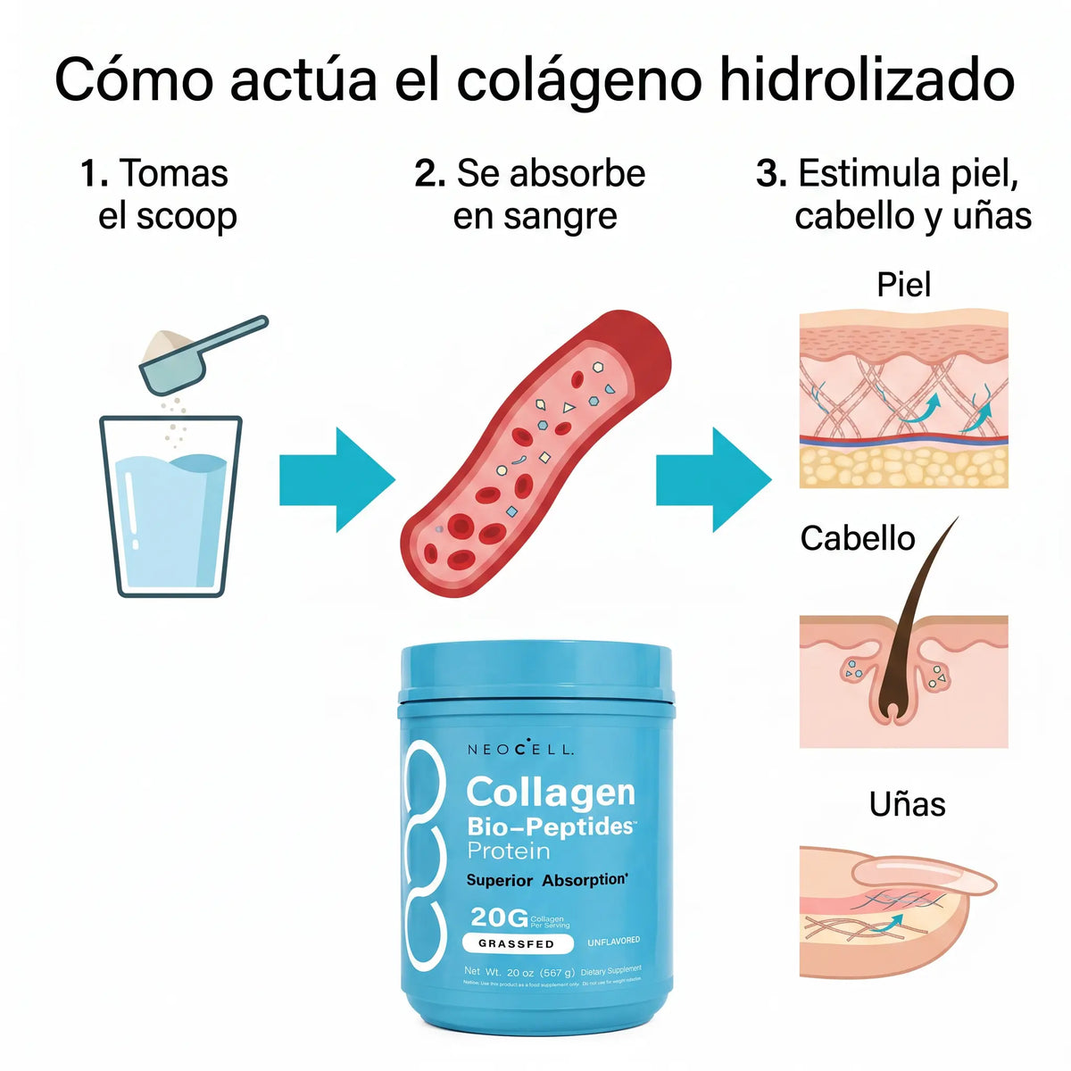 NeoCell™  Collagen Bio-Peptides Protein